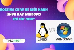 Hosting chạy hệ điều hành Linux hay Windows thì tốt hơn cho doanh nghiệp?
