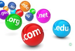 [HOT SALE] domain quốc tế giá rẻ tại TinoHost .Com/.net/.org/.info chỉ còn 79.000 đồng