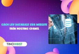 Bật mí cách lấy database của website trên hosting cPanel trong chớp mắt