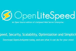 Hướng dẫn cài đặt OpenLiteSpeed trên VPS sử dụng DirectAdmin