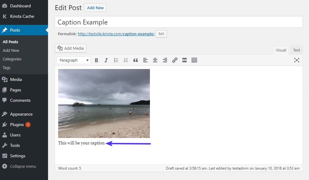 Một ví dụ về cách hiển thị chú thích hình ảnh trong trình chỉnh sửa WordPress