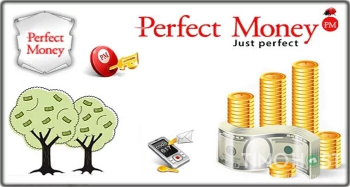 perfect-money-la-gi