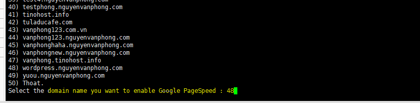 Turn On Google PageSpeed - Bật MOD Google PageSpeed trên Tinoscript 3