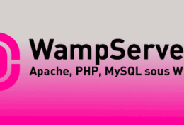 WampServer là gì? Hướng dẫn cài đặt và cấu hình WampServer