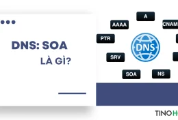 DNS: SOA là gì? Tìm hiểu về cấu trúc DNS: SOA