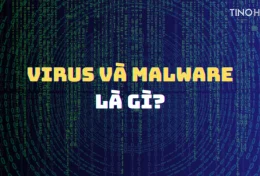 Virus và malware là gì? Tầm quan trọng của chương trình diệt virus trên  hosting