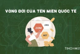 Tìm hiểu vòng đời của một tên miền quốc tế