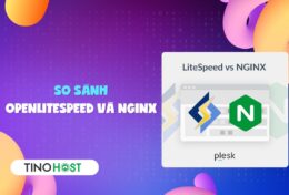 So sánh OpenLiteSpeed và NGINX: Điểm giống và khác nhau giữa 2 web server phổ biến