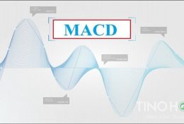 Đường Macd là gì? Cách sử dụng đường Macd để phân tích