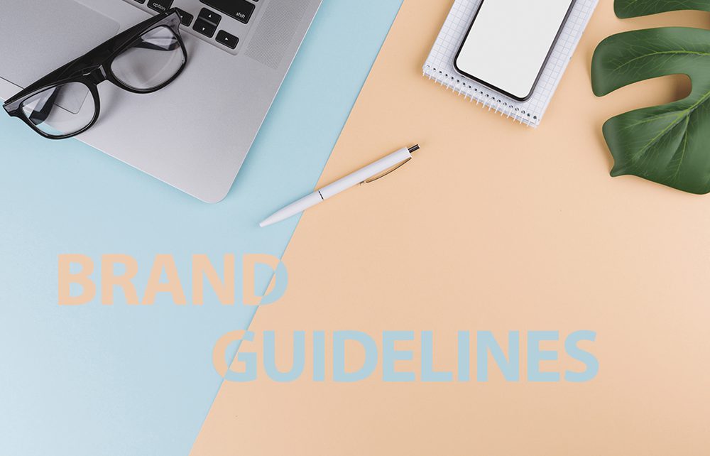 brand-guideline-la-gi