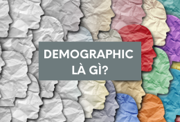 Demographic là gì? Tìm hiểu Demographic trong Marketing