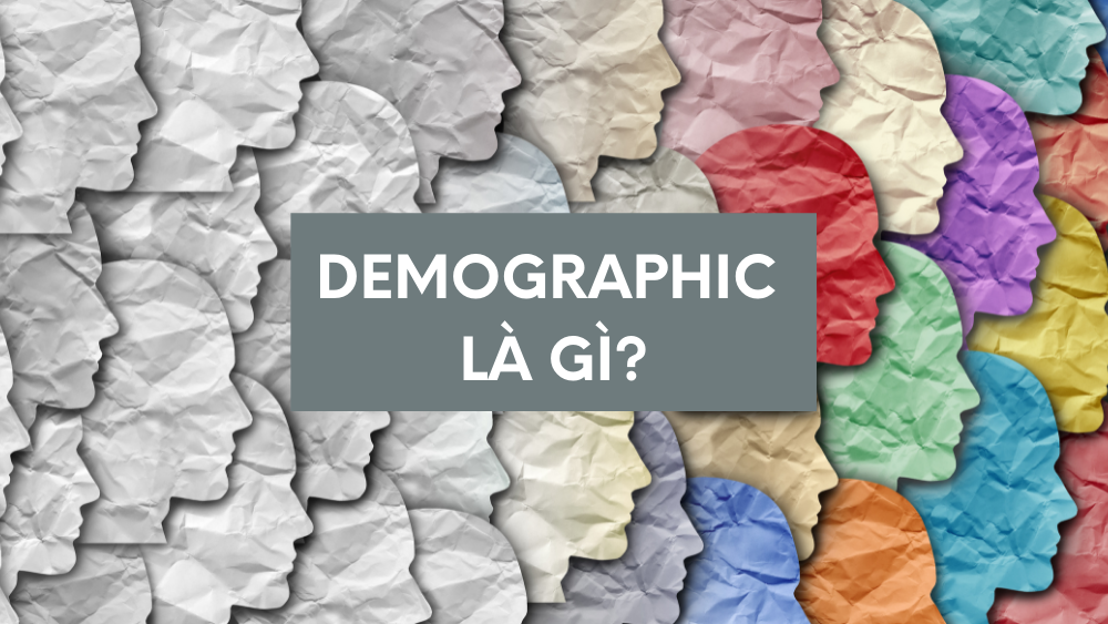 Demographic là gì? Tìm hiểu Demographic trong Marketing 1