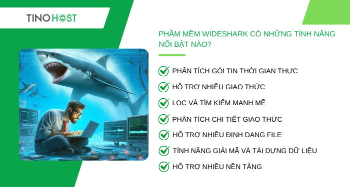 pham-mem-wideshark-co-nhung-tinh-nang-noi-bat-nao