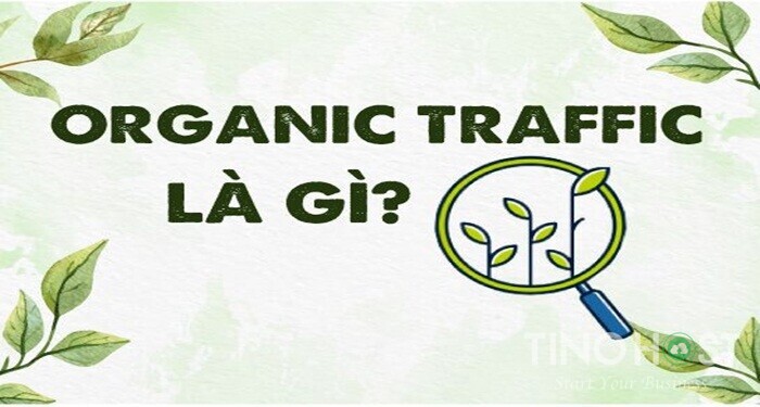 organic-traffic-la-gi