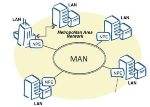 network-la-gi