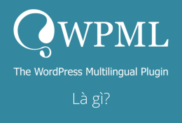 WPML là gì? Hướng dẫn sử dụng plugin đa ngôn ngữ WPML