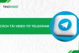 Cách tải video từ Telegram trên mọi nền tảng chuẩn từ A-Z