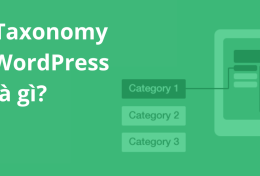 Taxonomy WordPress là gì? Hướng dẫn cách Custom taxonomy