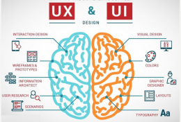 UI UX design là gì? Những kỹ năng cần có ở một UI UX designer 2024