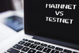 Testnet và mainnet là gì? Vai trò của testnet và mainnet trong thế giới tiền ảo