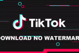 Cách tải video từ TikTok không có logo đơn giản nhất 2024