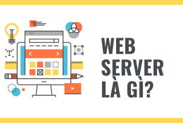 Web Server là gì? Những loại Web Server thông dụng