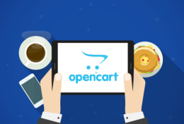 Opencart là gì? So sánh Opencart và WordPress