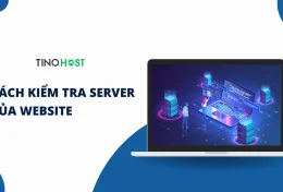 Hướng dẫn cách kiểm tra Server của website 2024