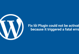 Fix lỗi “Plugin could not be activated because it triggered a fatal error”