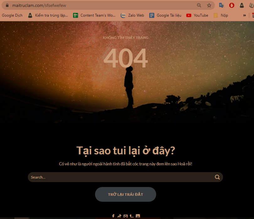 loi-thuong-gap-nhat-trong-wordpress