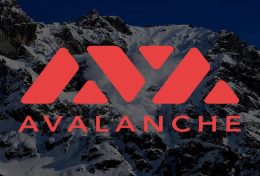 Avalanche (AVAX) là gì? Tìm hiểu tổng quan về dự án Avalanche