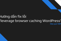 Hướng dẫn fix lỗi “leverage browser caching WordPress”