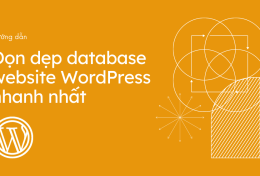 Hướng dẫn dọn dẹp Database website WordPress nhanh nhất