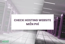 Bật mí 2 cách check hosting website miễn phí 100%