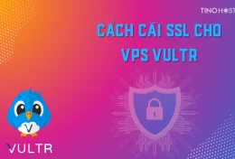 2 cách cài SSL cho VPS Vultr đơn giản và nhanh chóng