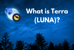 Terra (LUNA) là gì? Hướng dẫn mua bán LUNA Token cho người mới