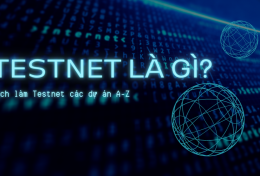 Testnet là gì? Cách làm Testnet các dự án A-Z