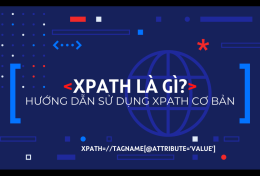 XPath là gì? Hướng dẫn sử dụng XPath cơ bản