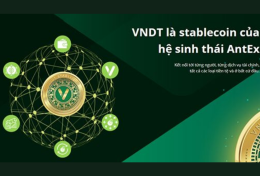 VNDT là gì? Hướng dẫn đăng ký, giao dịch trên VNDT để nhận ngay 50 000