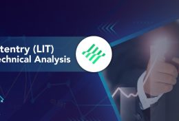 Litentry (LIT) là gì? Cách sở hữu và lưu trữ LIT Token an toàn