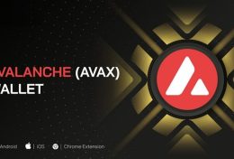 Ví Avalanche (AVAX) là gì? Hướng dẫn chi tiết cách tạo và sử dụng ví Avalanche (AVAX) 2024