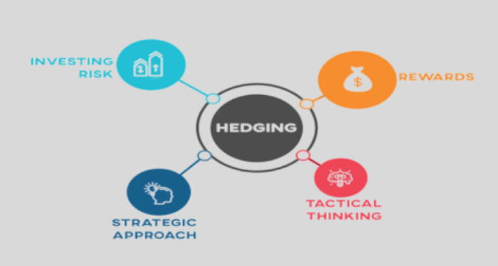 Hedge là gì? 3 chiến lược phòng ngừa rủi ro các nhà đầu tư nên biết 10