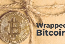 Wrapped Bitcoin (WBTC) là gì? Cách mua bán và sở hữu đồng WBTC an toàn