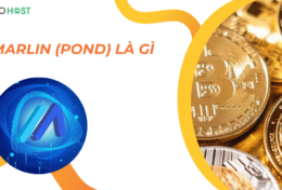 Marlin (POND) là gì? Liệu đây sẽ là tương lai của Blockchain?