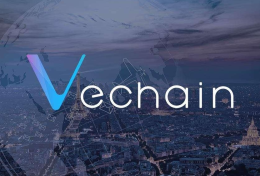 Vechain (VET) là gì? Thông tin chi tiết về dự án Vechain