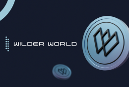 Wilder World (WILD) là gì? Tìm hiểu chi tiết về dự án Wilder World