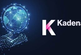 Kadena (KDA) là gì? Cách sở hữu và lưu trữ KDA Token chuẩn chỉnh