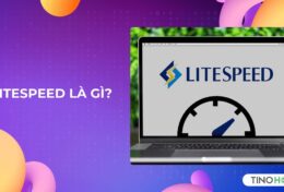 LiteSpeed là gì? Tại sao LiteSpeed là lựa chọn hàng đầu cho website của bạn?