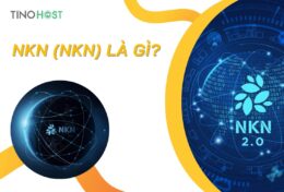 NKN (NKN) là gì? Thông tin chi tiết về dự án NKN