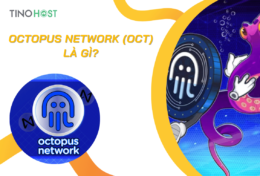 Octopus Network (OCT) là gì? Tìm hiểu chi tiết về token OCT